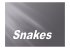Non-poisonous snakes