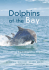 Dolphins of the bay