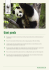 Giant panda - Wild Onesie Week 2016