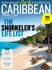 Swimming withSharksin the Bahamas