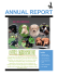 the 2013 Annual Report