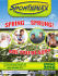 Spring Brochure  - Dartmouth Sportsplex