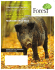 WHAT`S IN YOUR LOGGING CONTRACT? MANAGING WILD PIGS