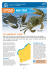 Fisheries fact sheet - Mud crab