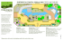 SUBTROPICAL-DISPLAY-MAP 11x17