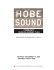 Hobe Sound CRA Plan