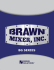 bg series - Brawn Mixer