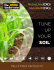 TUNE UP YOUR SOIL