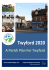 Twyford 2020 - A Plan for Twyford