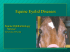 Equine Eyelid Diseases - Large Animal Hospital