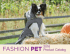 2016 Fashion Pet Catalog