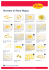 Overview of Pasta Shapes