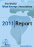2011 Report
