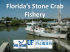 Florida`s Stone Crab Fishery - Miami