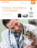 Veterinary X-ray Solutions Brochure