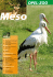 Meso - Opel-Zoo