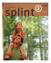 Splint - nova