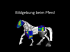 moderne Bildgebung Pferd