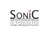 SoniC - Prozessorientierte Einführung eines