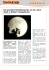 Die partielle Mondfinsternis am 25. April 2013 in Bildern