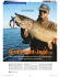 Großhecht-Jagd(3) - Raubfisch