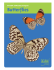 Butterflies Portable Collections Program