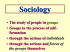 Sociology The study of people in Groups through the actions of
