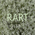 RART pdf - Barbro Raen Thomassen