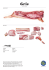 Styckningsschema gris