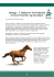 omega 3 hest dk kopi.pdf