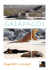 Galapagos katalog