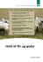 Hold af får og geder (Info-folder)