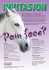Har hester et ”Pain face”?