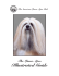 Illustrated Guide - The American Lhasa Apso Club
