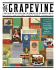 LiteracyIssue - The Grapevine