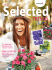 Selected - Selecta