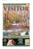 Visitor - The Campbellsport News