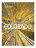 Colorado Supplement 0313