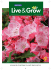 Live and Grow_Issue 27_Summer 2011