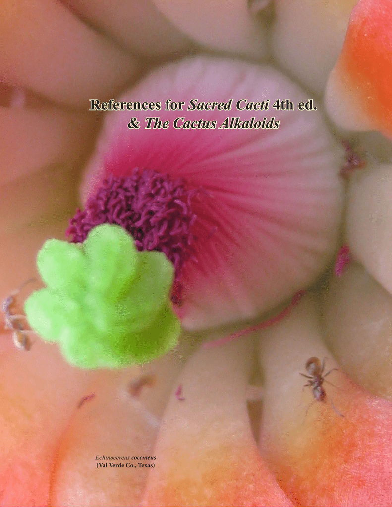 20 Pcs FRESH SEEDS LP.fricii Cactus seeds succulent Garden Flower Cacti Kaktus