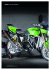 sPecial / zrx1100 trackbike