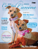 CC_Spring2013_lowres.. - Coastal Canine Magazine