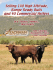 1 - Leachman Cattle of Colorado