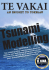 Tsunami Modelling