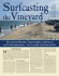 a Great Vineyard Surfcasting Guide