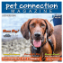 Pet Connection Magazine