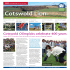 Cotswold Lion - Cotswolds AONB