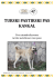 Brošura o Turskom pastirskom psu – Kangalu