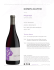 Complicated 2014 Pinot Noir Fact Sheet