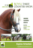 Equine Schedule - Three Counties Showground